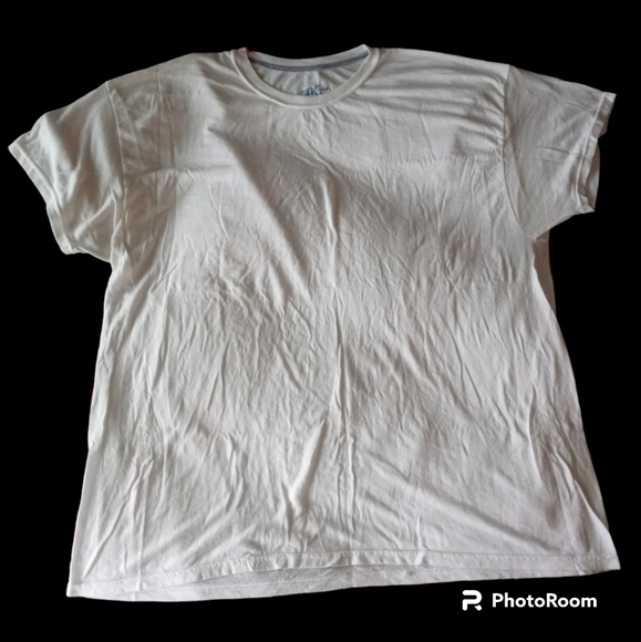 Hanes Other - 2/$15 Hanes X-Temp Tee